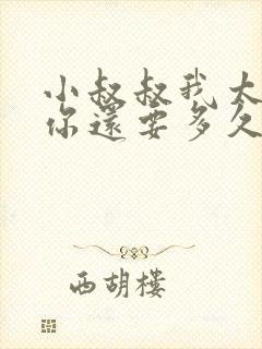 小叔叔我太累了你还要多久封面