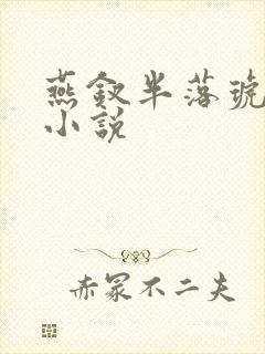 燕钗半落琥珀糖小说