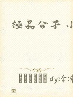 极品公子 小说