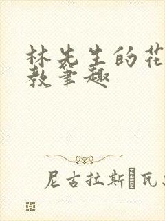 林先生的花式管教笔趣