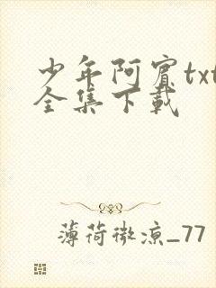 少年阿宾txt全集下载