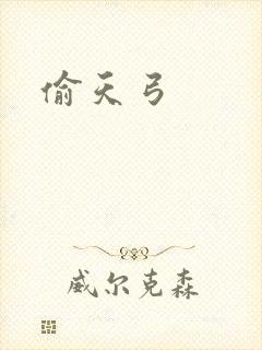 偷天弓