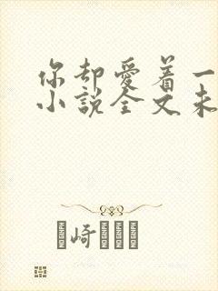 你却爱着一个他小说全文未删减免费封面