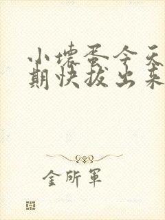 小坏蛋今天危险期快拔出来封面