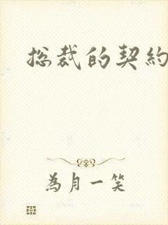 总裁的契约妻