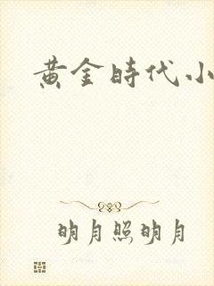 黄金时代小说