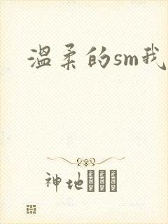 温柔的sm我封面