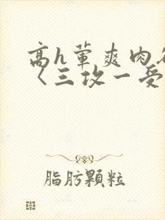 高h荤爽肉欲文〈三攻一受〉视频