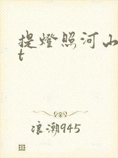 提灯照河山txt
