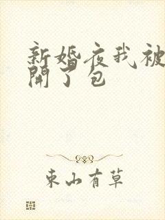 新婚夜我被伴郎开了包