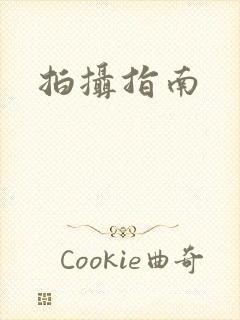 拍摄指南