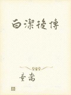 白洁后传封面