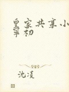皇家共享小公主宁初