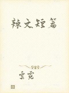 辣文短篇封面