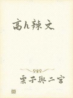高h辣文