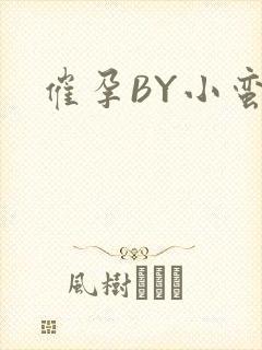 催孕BY小蛮腰