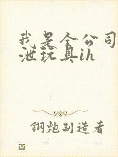 我是全公司的发泄玩具ih
