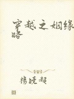 穿越之姻缘劫攻略封面