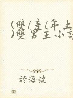 (双/产/年上)双男主小说