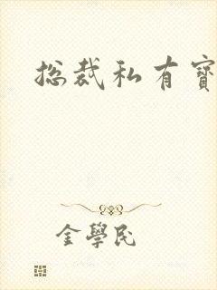 总裁私有宝贝