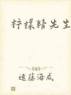 柠檬精先生