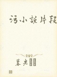 污小说片段封面