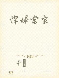 悍妇当家封面