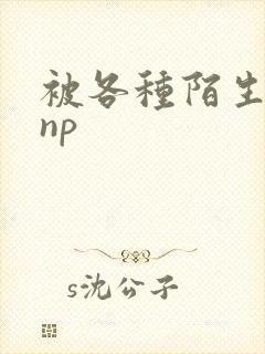 被各种陌生人 np