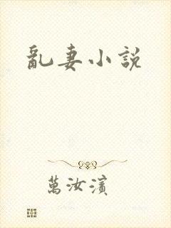 乱妻小说