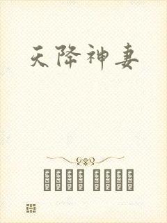 天降神妻