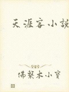 天涯客小说
