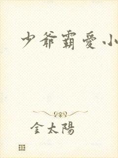 少爷霸爱小丫头封面