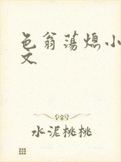 色翁荡熄小说全文封面