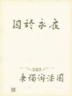 囚于永夜封面