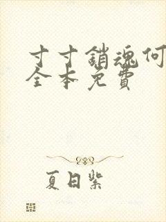 寸寸销魂何生祥全本免费封面