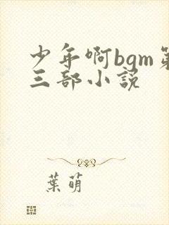 少年啊bgm第三部小说封面