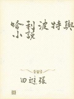 哈利波特与密室小说