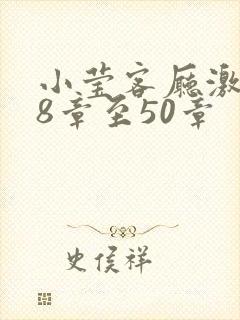 小莹客厅激情38章至50章封面