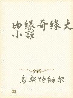 内缘奇缘大团圆小说封面