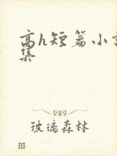 高h短篇小说合集