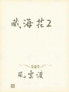 藏海花2