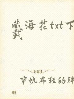 藏海花txt下载