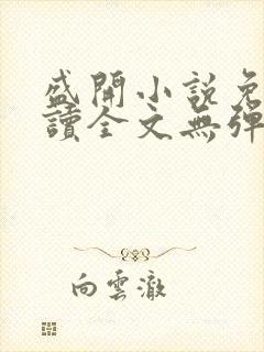 盛开小说免费阅读全文无弹窗