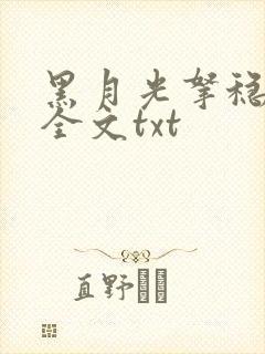 书籍封面