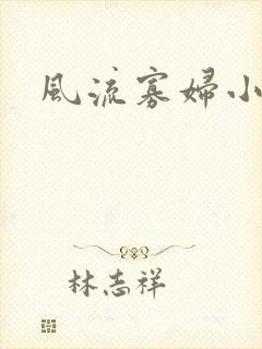 风流寡妇小说