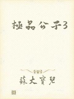 极品公子3