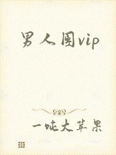 男人团vip