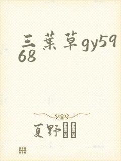 三叶草gy5968
