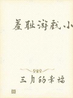 羞耻游戏小说