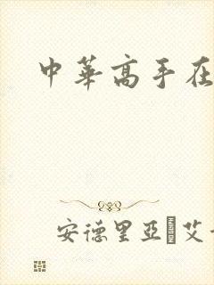 中华高手在异世